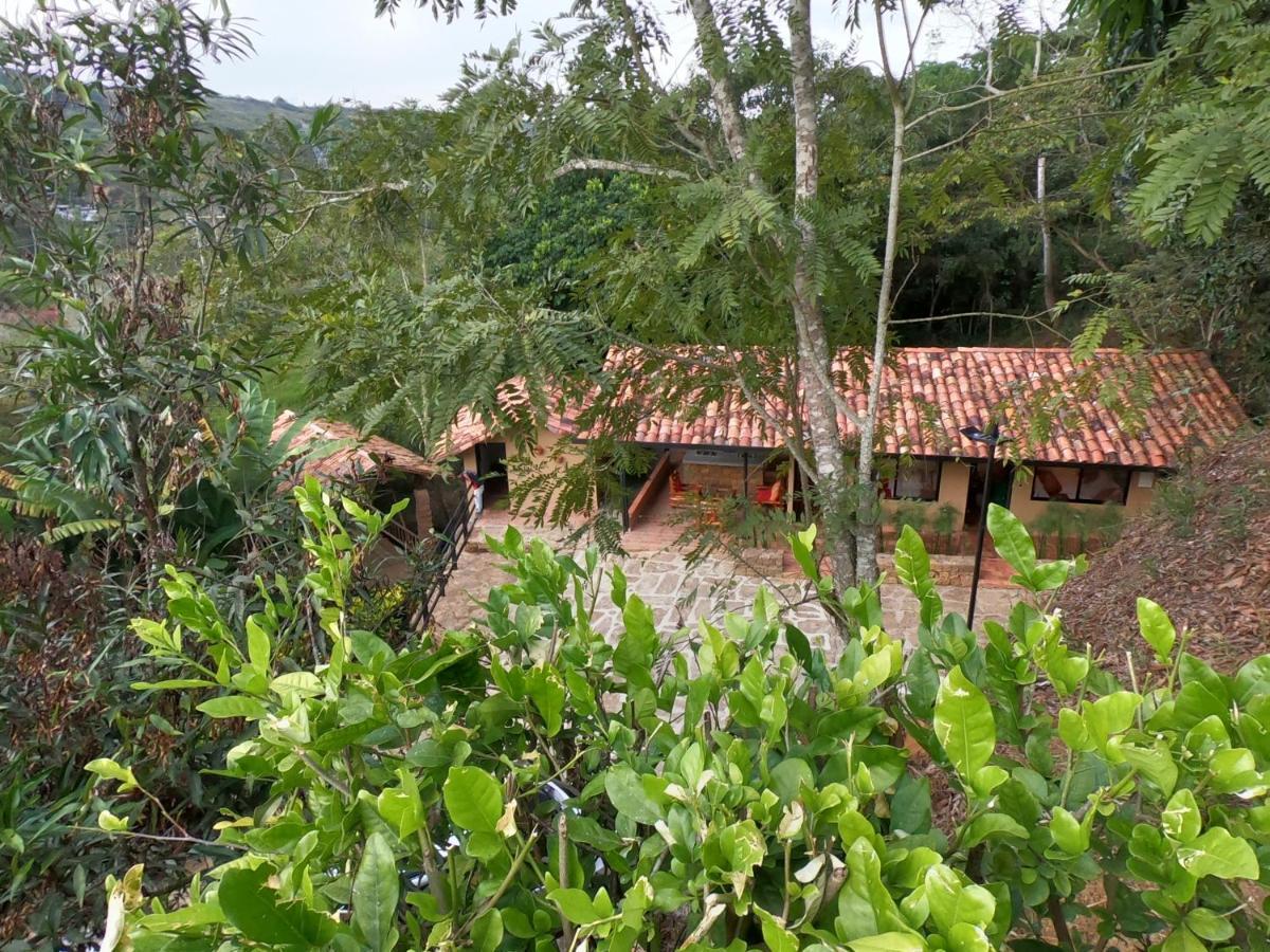 El Ciruelo San Gil